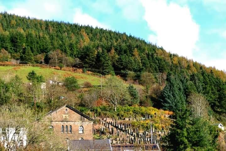 Selah Cottage, 21 Queen Street Pontrhydyfen Room photo